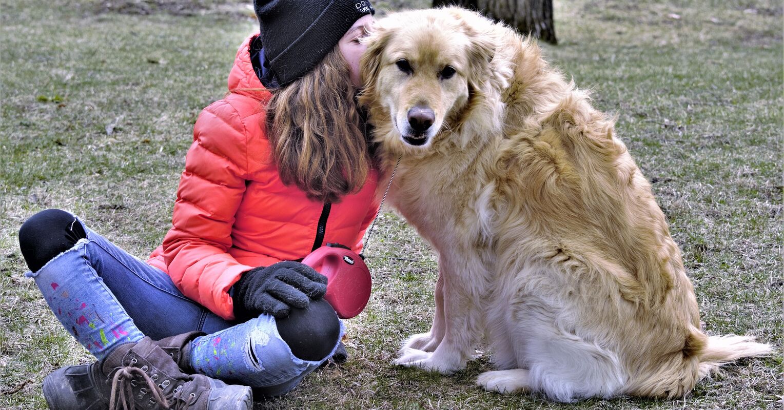 Can Dogs Be Trained to Sniff COVID19? Psychology Today Australia