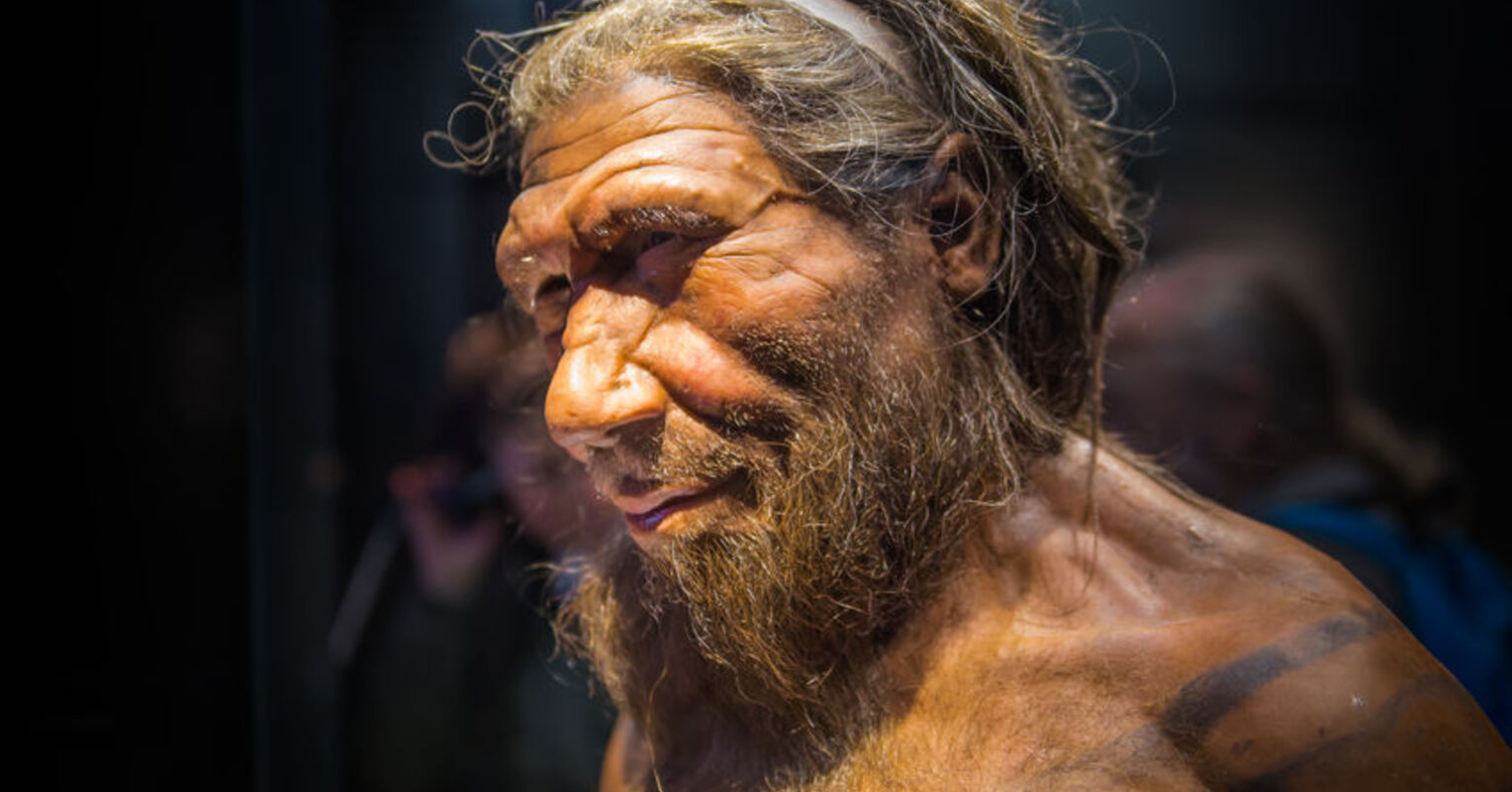 Why Did Neanderthals Go Extinct? | Psychology Today