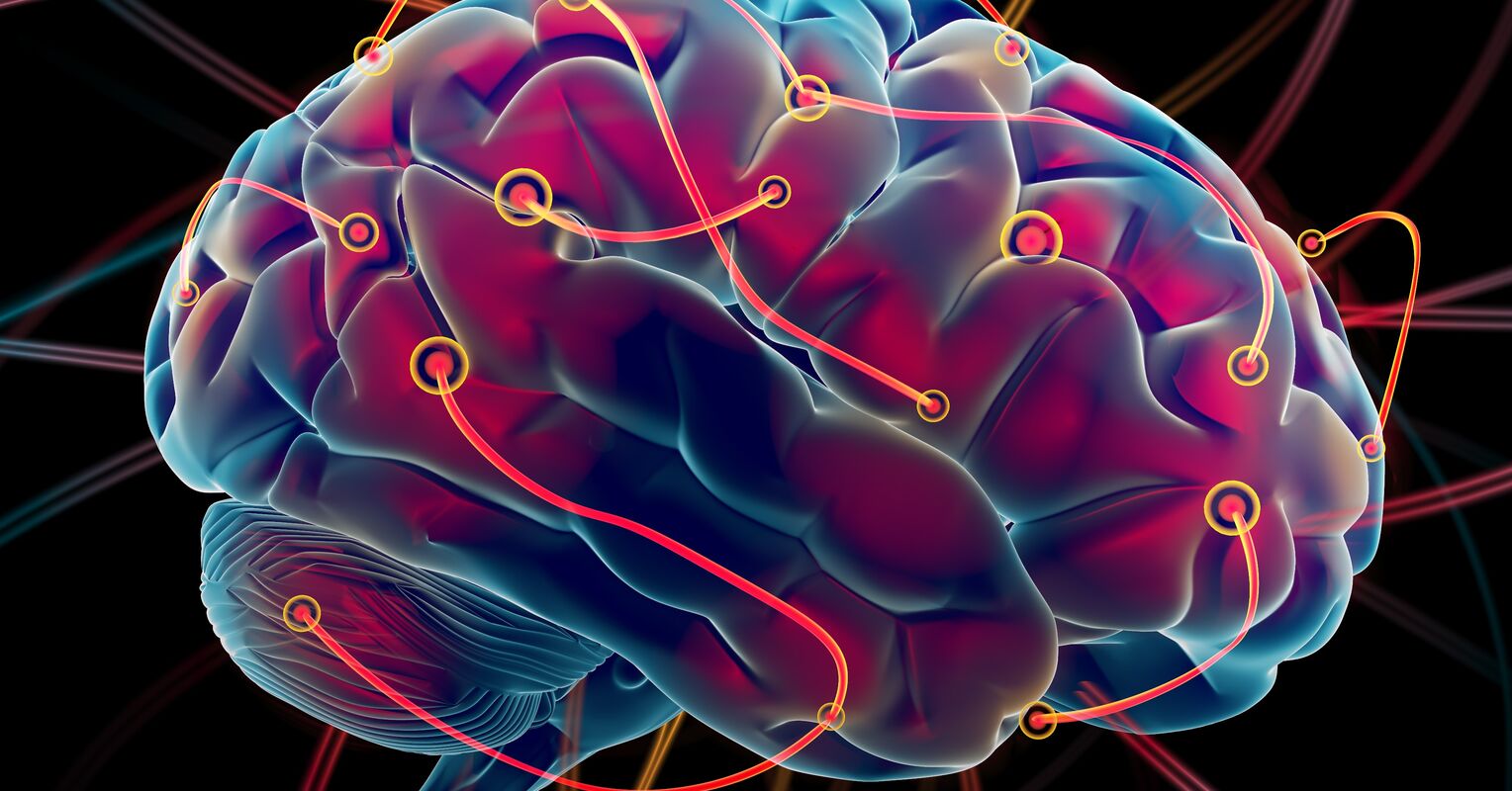 How Do Motor Regions of the Brain Drive Fluid Intelligence ...