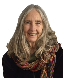 Photo of Susan Avery Stewart, Ph.D.