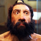homo neanderthalensis