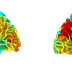 brain diversity map
