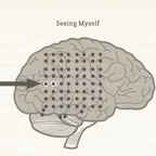The arrow marks the spot on the brain that Blane stimulated to induce an OBE.