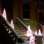Christmas lights illuminate the dark night on Boston’s Union Park.