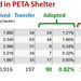 dog cat canine feline PETA euthanize kill shelter adopt